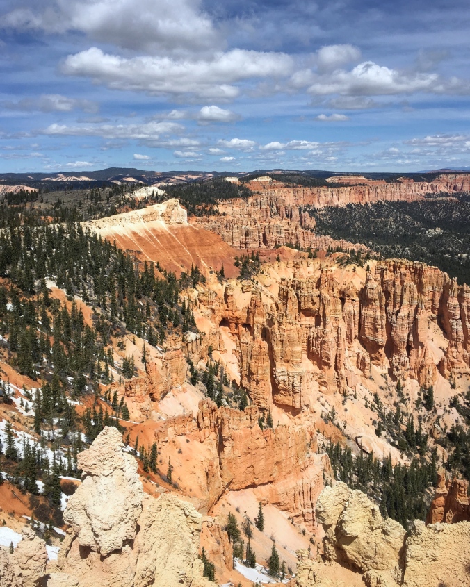 hoodoo filled canyon with pine trees and blue skies